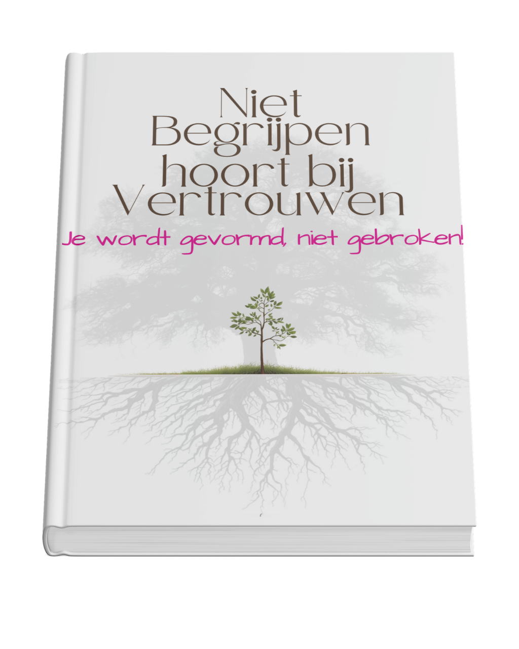 Het Boek | Nederlands
